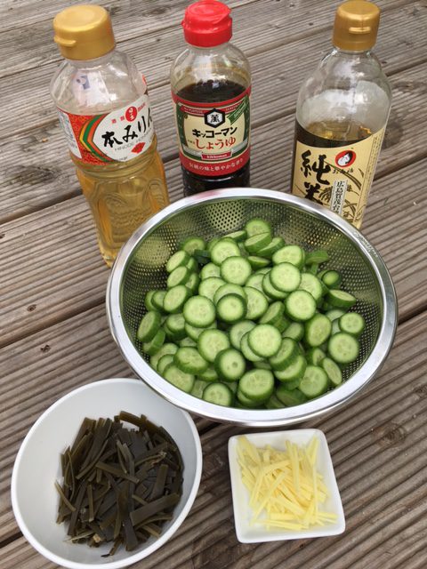 Tsukemono Zutaten: Mirin, Soja Sauce, reisessig, in Scheiben geschnittene Gurken und in feine Streifen geschnittener Kombi und Ingwer