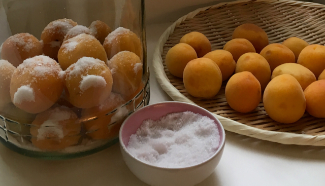 Layered apricots with salt in a glass container