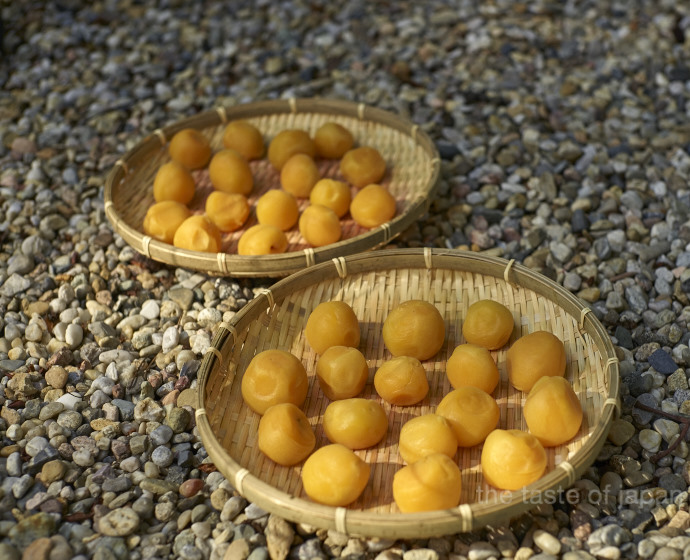 Local apricots fermented umeboshi style