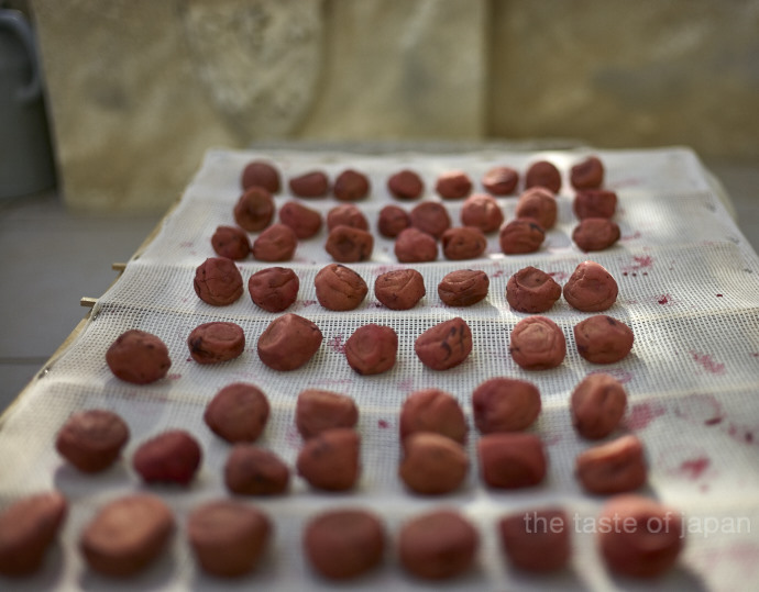 Umeboshi layed out to dry in the sun