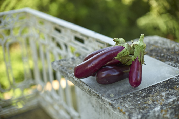 Sommersonnentage getrocknete Auberginen